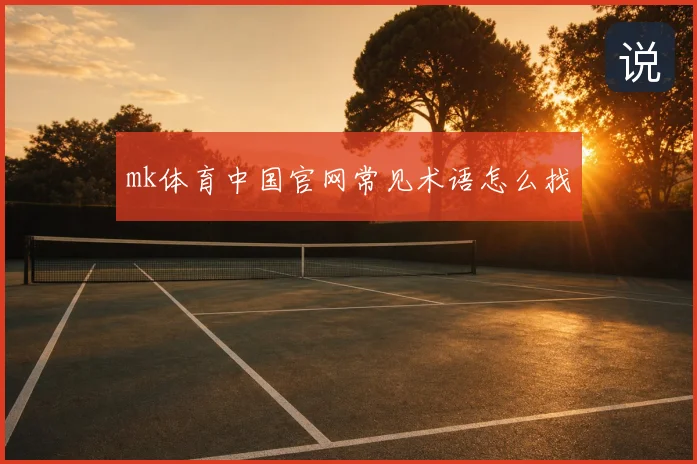 mk体育中国官网常见术语怎么找